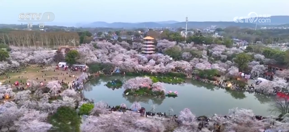 福产业” “花样”经济别样绽放pg电子中国“美丽产业”→“幸(图1)