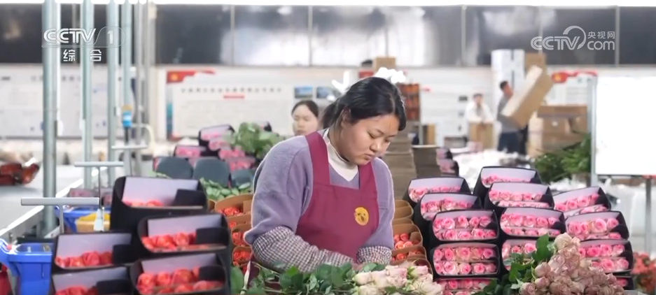 福产业” “花样”经济别样绽放pg电子中国“美丽产业”→“幸(图5)