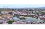 福产业” “花样”经济别样绽放pg电子中